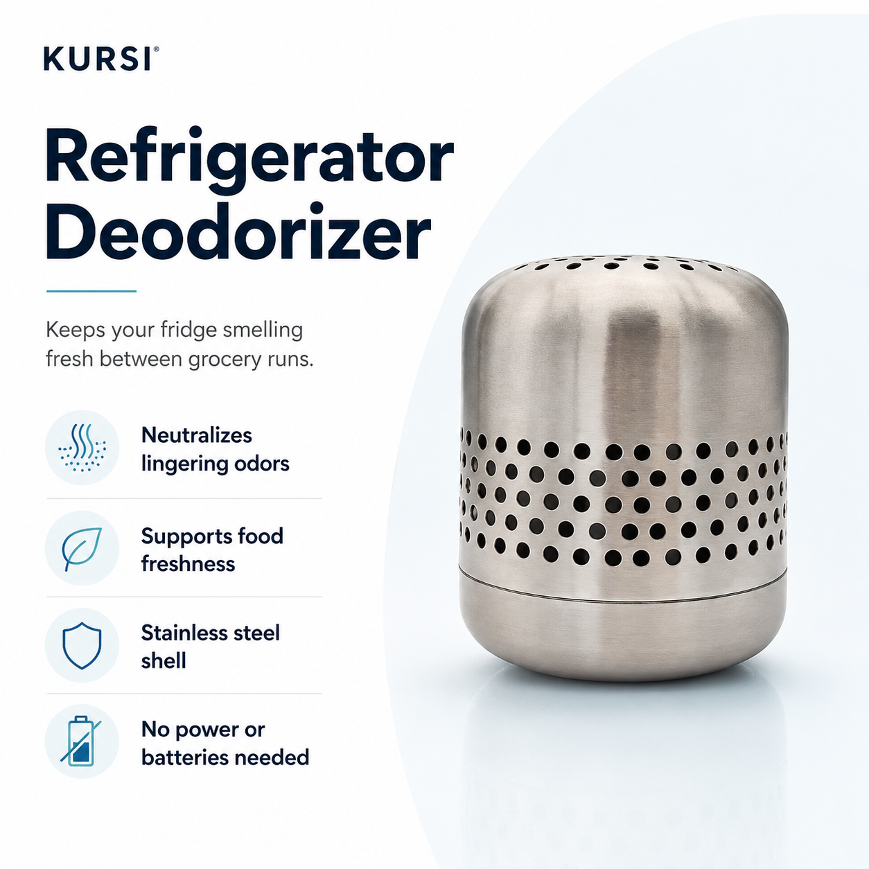 Stainless Steel Refrigerator Deodorizer and Freshness Preserver