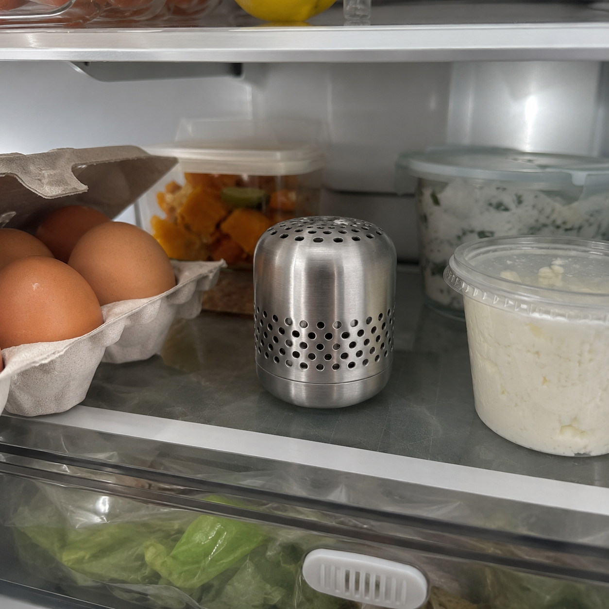 Kursi refrigerator deodorizer placed between eggs, leftovers, and everyday groceries