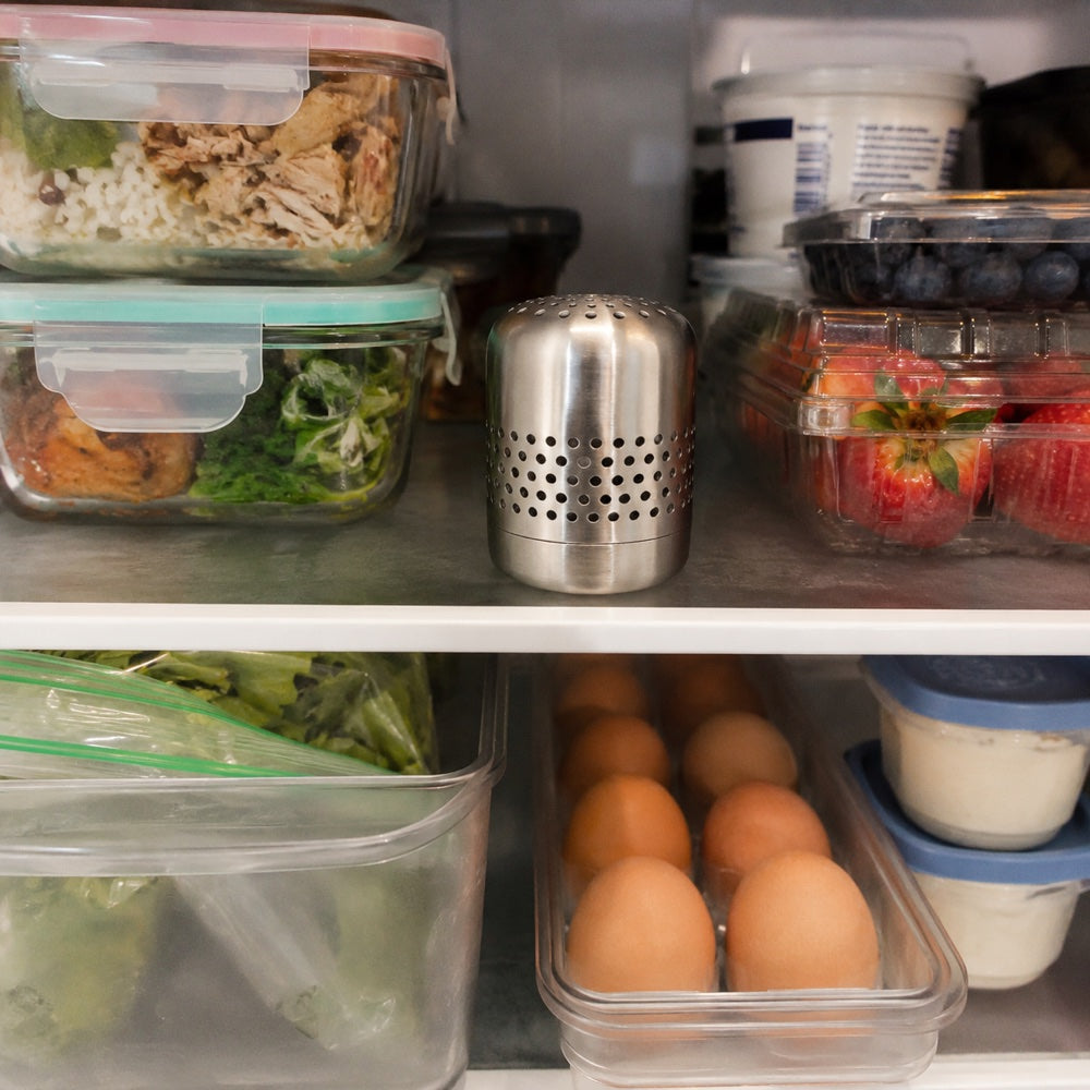 Kursi deodorizer standing between meal-prep containers, produce, and dairy inside a refrigerator